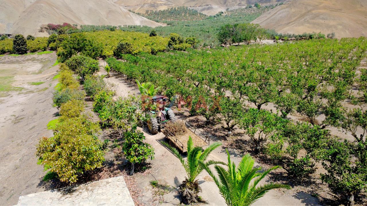🌿 Tu Propio Lugar En El Valle De Azpitia — foto 5