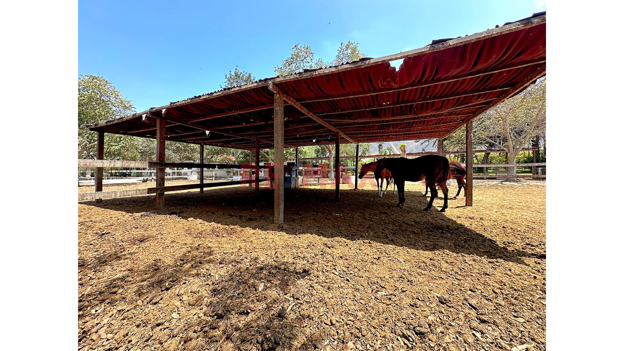 🌿 Tu Propio Lugar En El Valle De Azpitia — foto 9