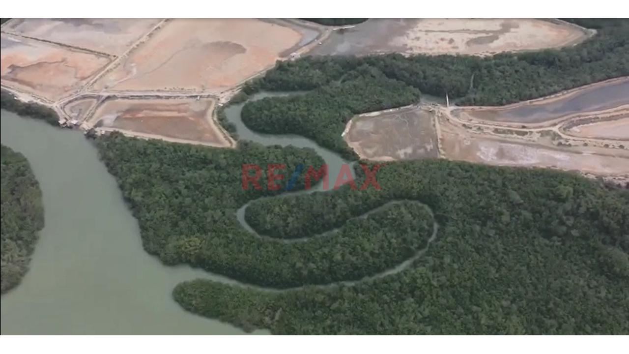 30 Hectareas De Terreno Frente A La Playa En Tumbes Puerto Pizarro — foto 10