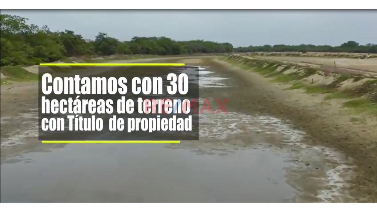 30 Hectareas De Terreno Frente A La Playa En Tumbes Puerto Pizarro — foto 7