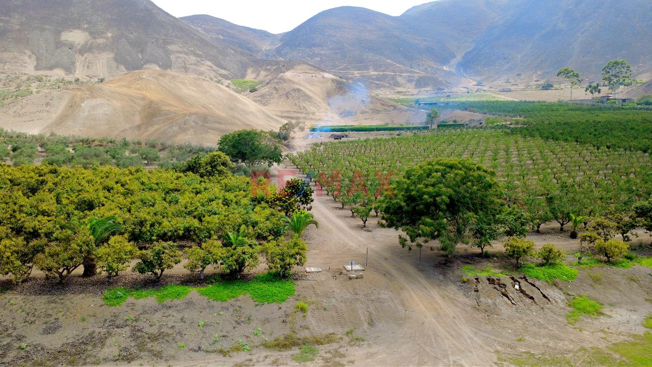 🌿 Tu Propio Lugar En El Valle De Azpitia — foto 2