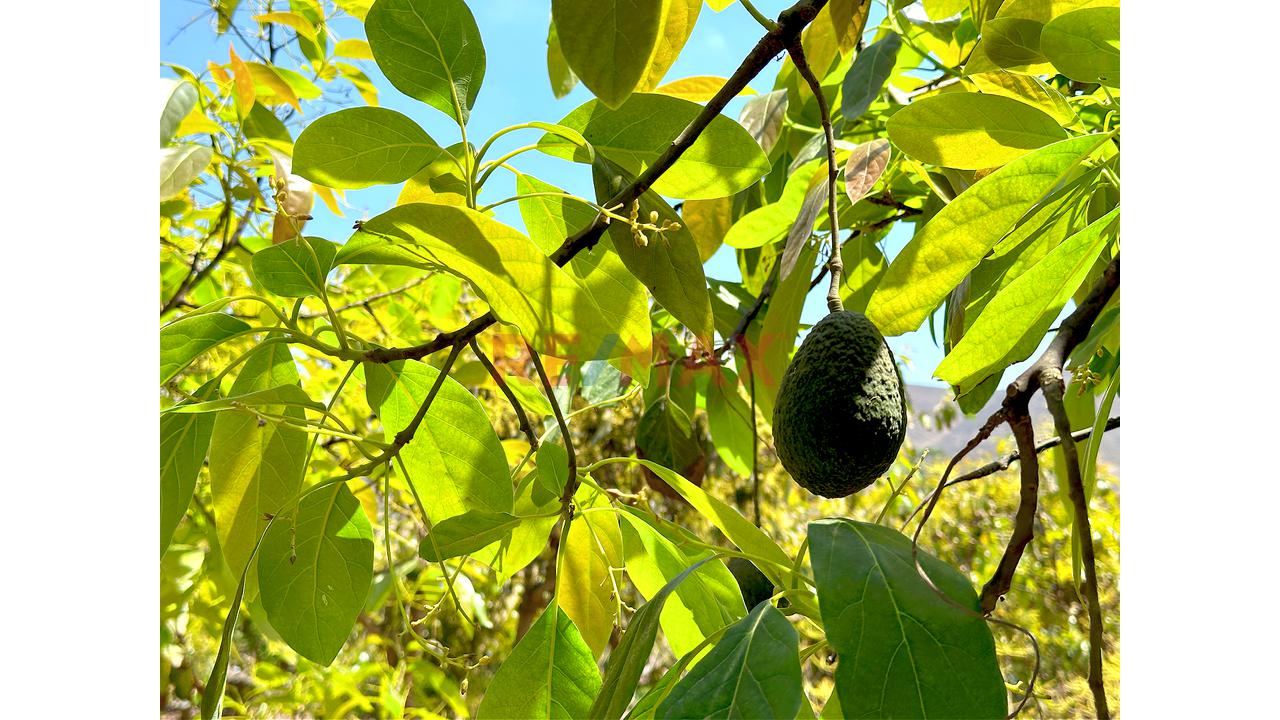 🌿 Tu Propio Lugar En El Valle De Azpitia — foto 7