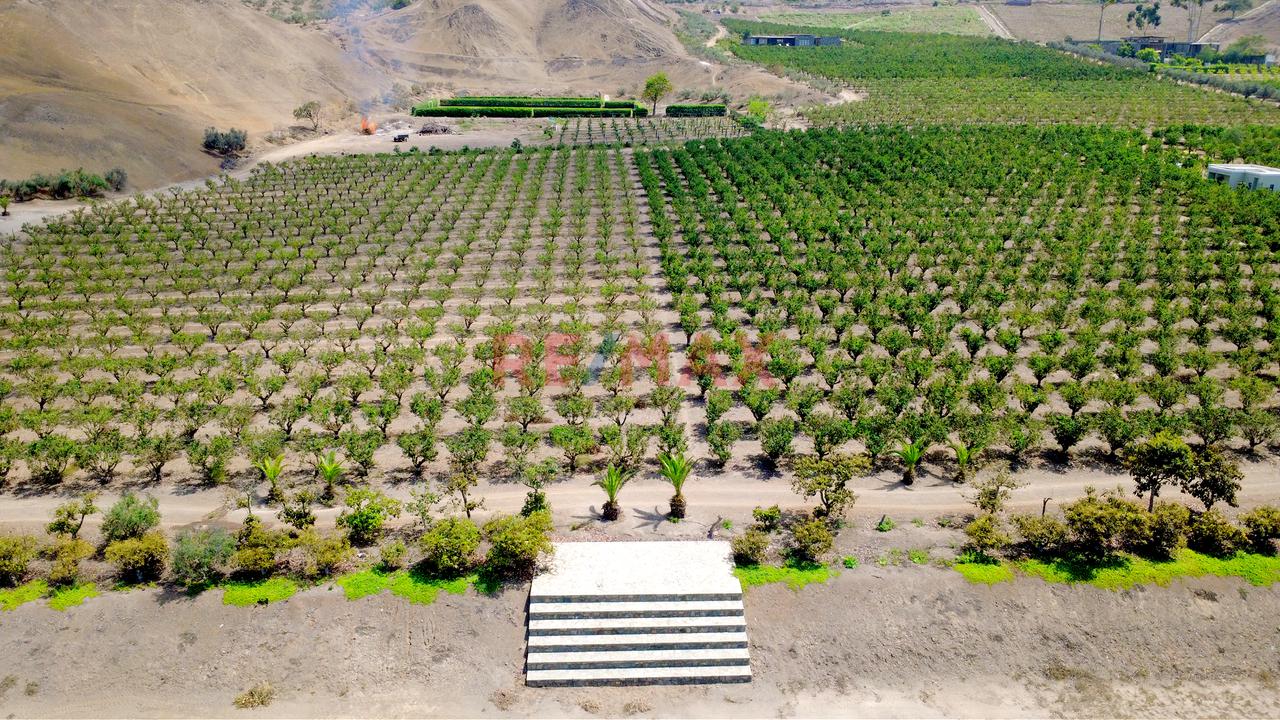 🌿 Tu Propio Lugar En El Valle De Azpitia — foto 3