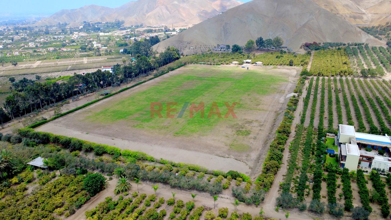 🌿 Tu Propio Lugar En El Valle De Azpitia — foto 10