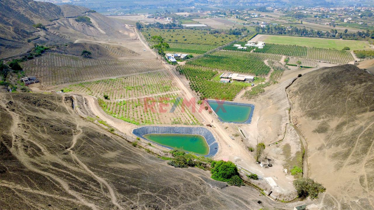 🌿 Tu Propio Lugar En El Valle De Azpitia — foto 6