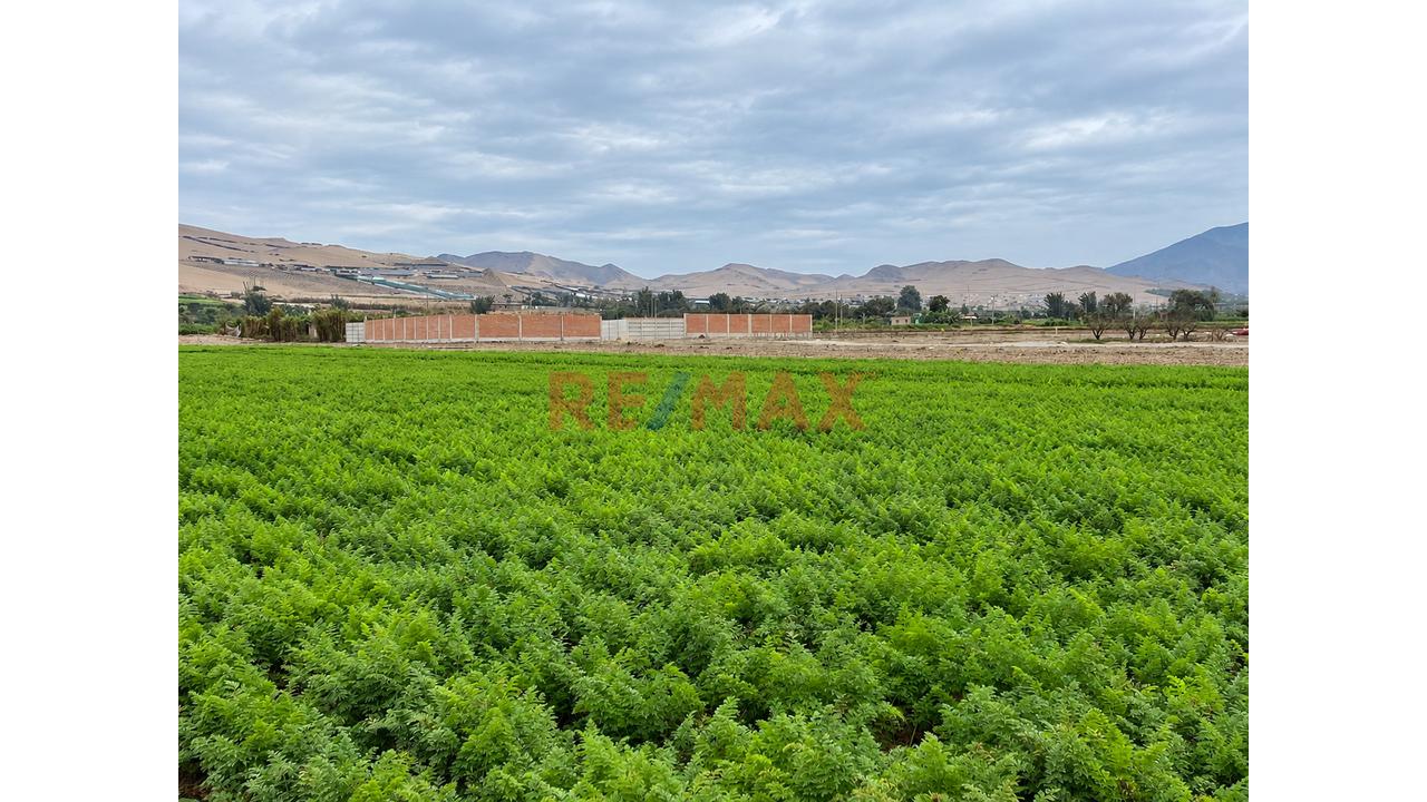🌱 Terreno En Venta – Chancayllo 18,750 M² | Una Inversión Con Visión De Futuro — foto 2
