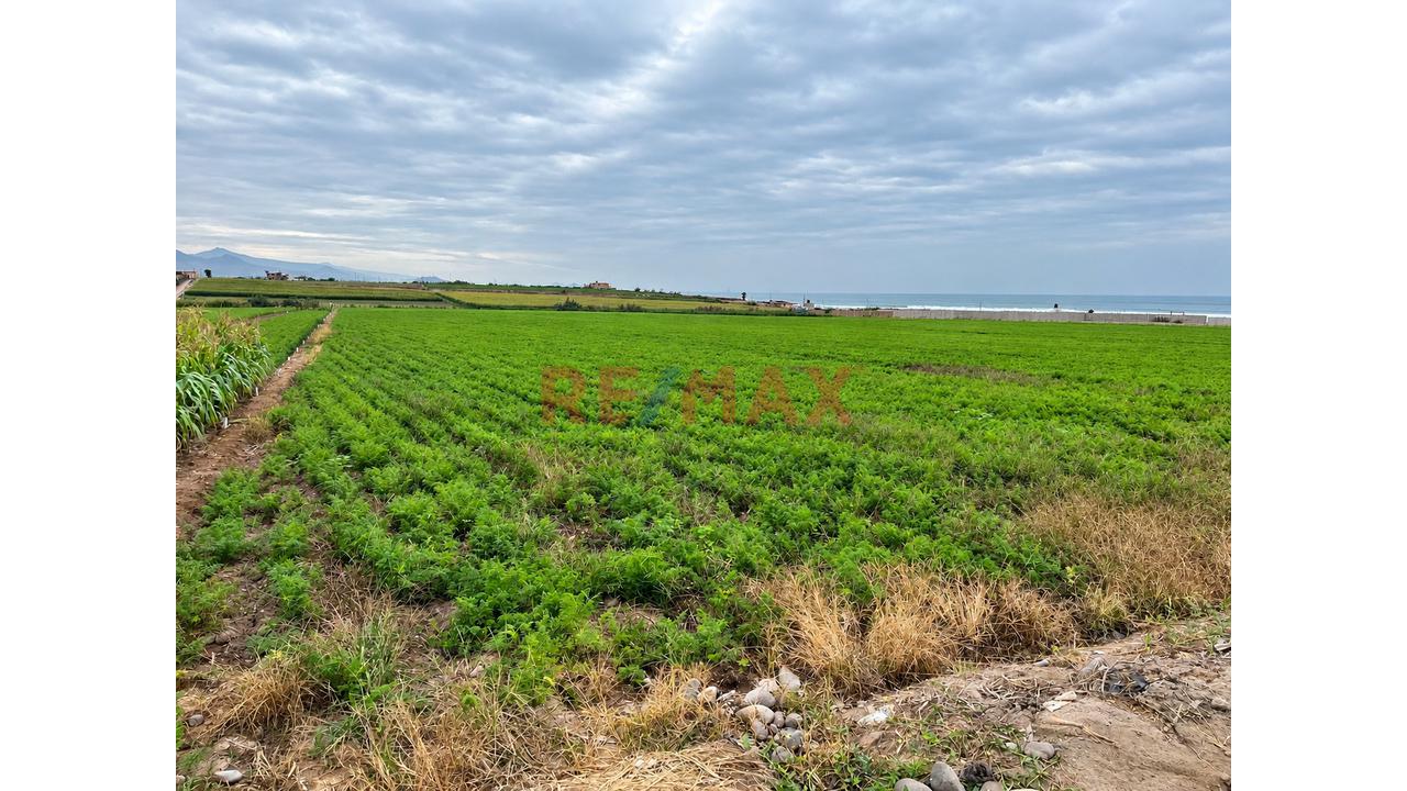 🌱 Terreno En Venta – Chancayllo 18,750 M² | Una Inversión Con Visión De Futuro — foto 4