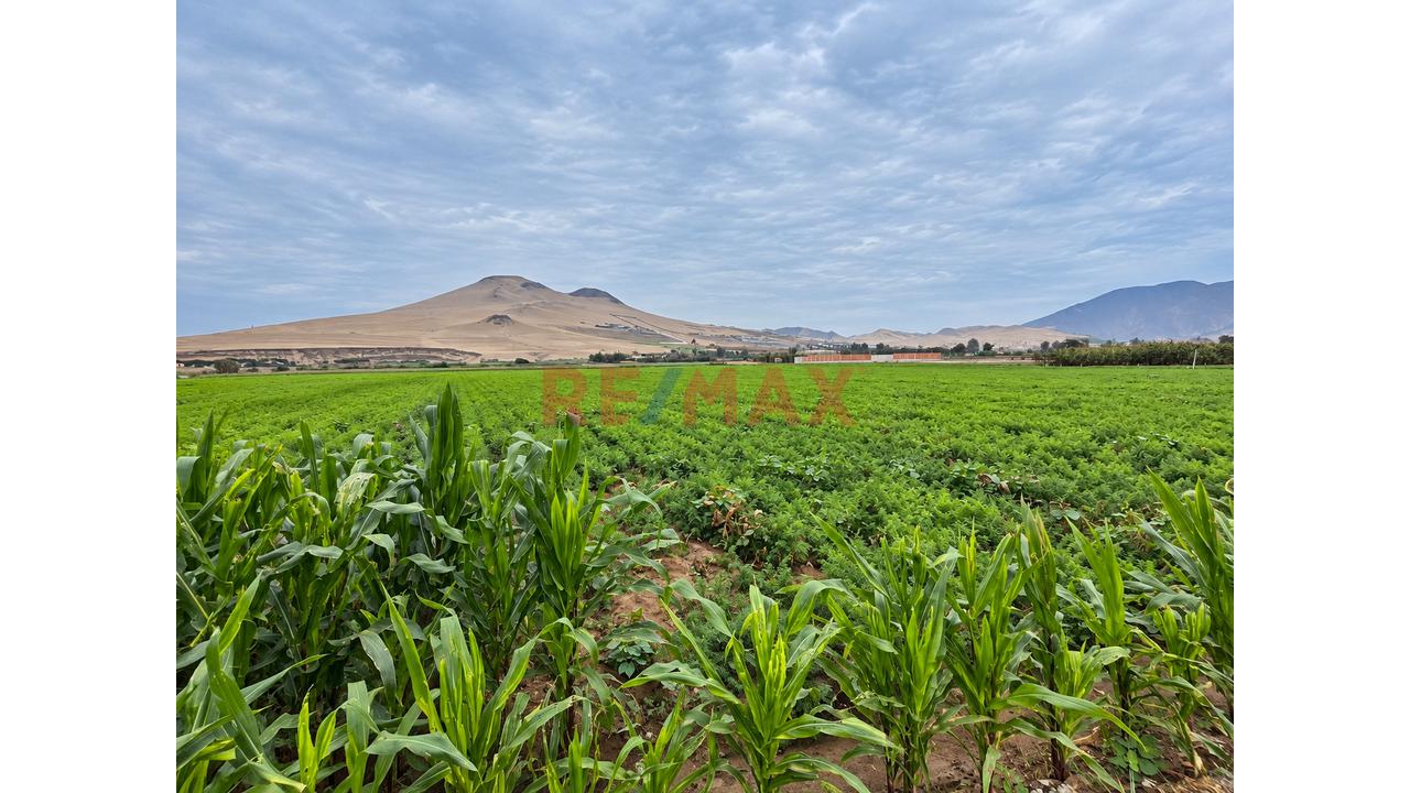 🌱 Terreno En Venta – Chancayllo 18,750 M² | Una Inversión Con Visión De Futuro
