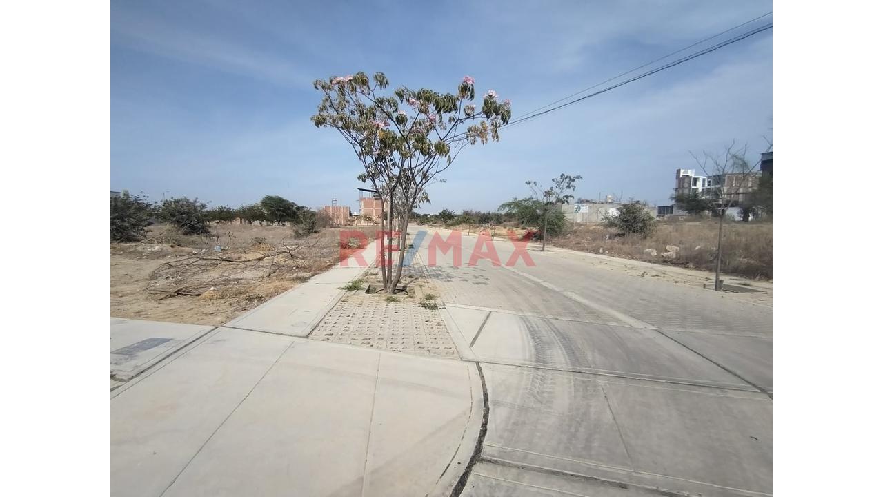 Venta De Terreno En Esquna Boulevard Plark Plaza — foto 6