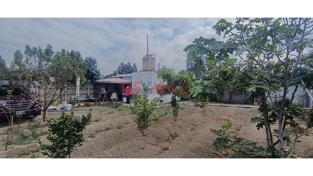 🌿 Casa De Campo De 500 M² En Chancay | Naturaleza Y Tranquilidad - 1