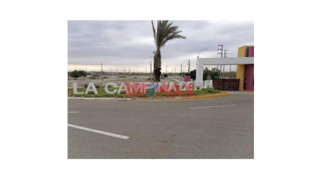 Vendo Lindo Terreno En La Campiña De Piura (Castilla) — foto 2