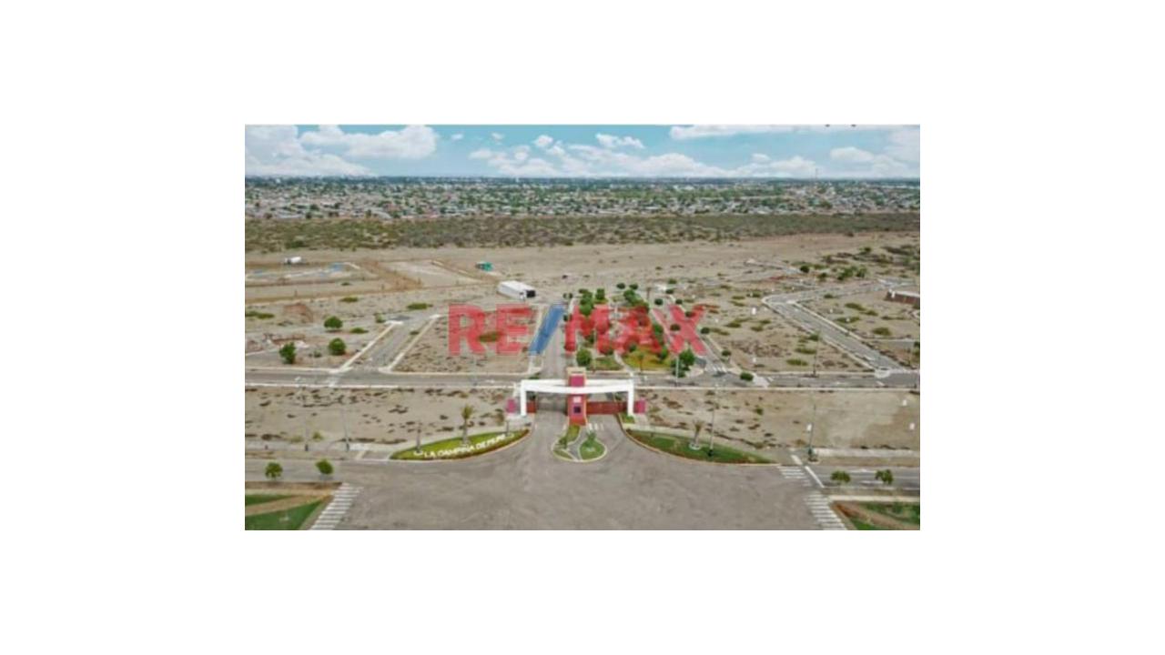 Vendo Lindo Terreno En La Campiña De Piura (Castilla) — foto 3