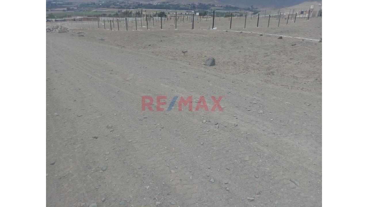 ¡Oportunidad En Chancay! Terreno Plano De 280 M² En Laderas De Chancayllo — foto 3