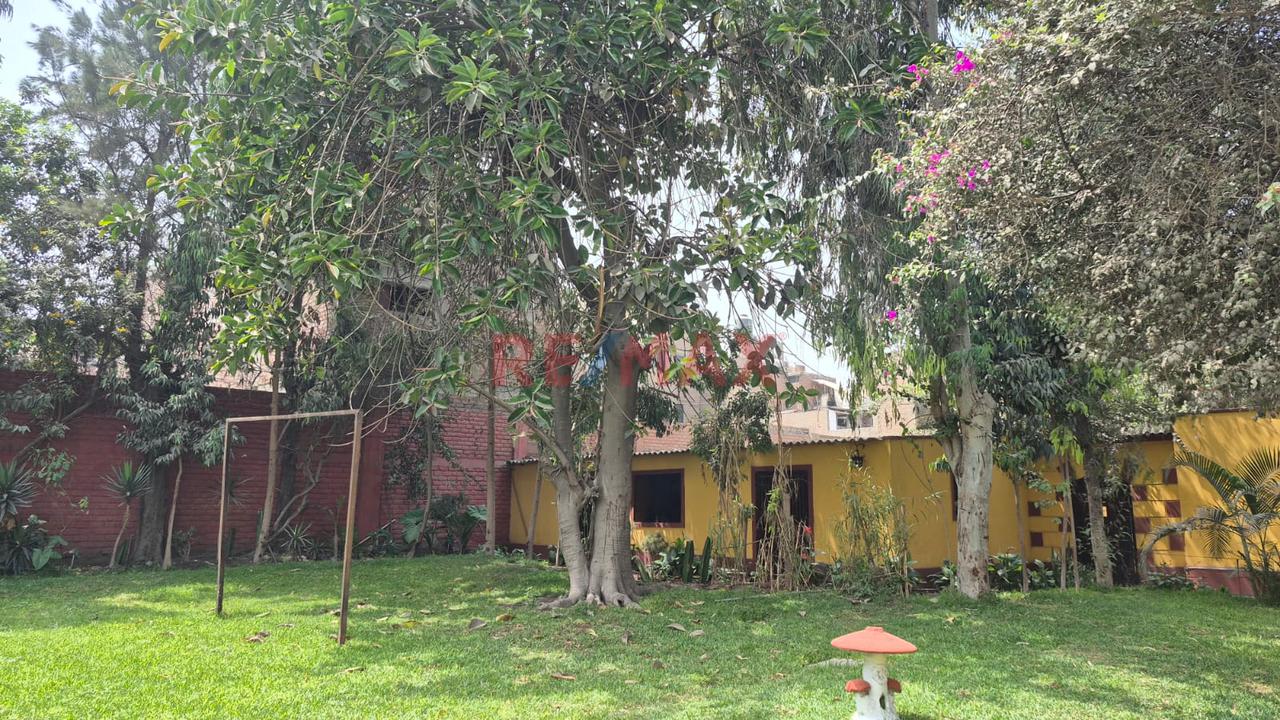 Se Vende Terreno Km 15 Carretera Centran En Ate — foto 9