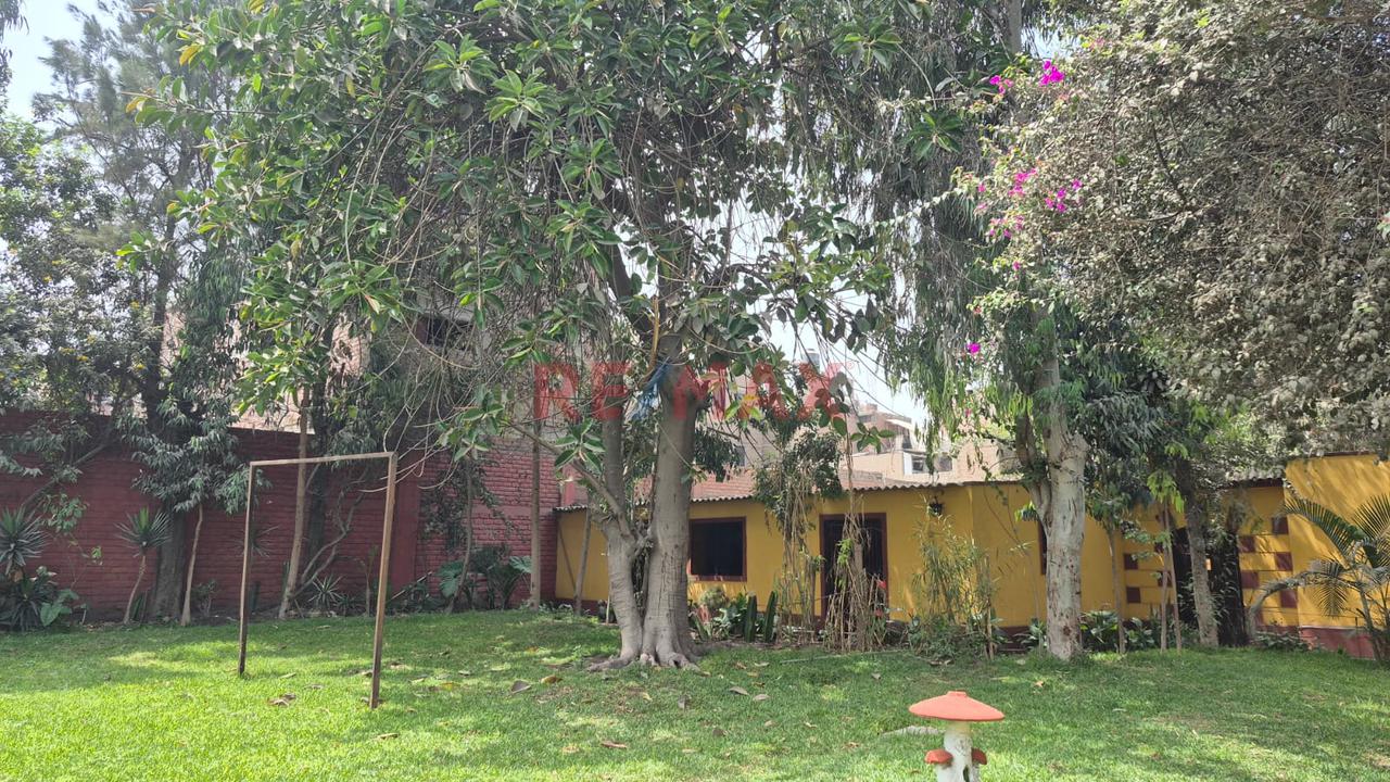 Se Vende Terreno Km 15 Carretera Centran En Ate — foto 10