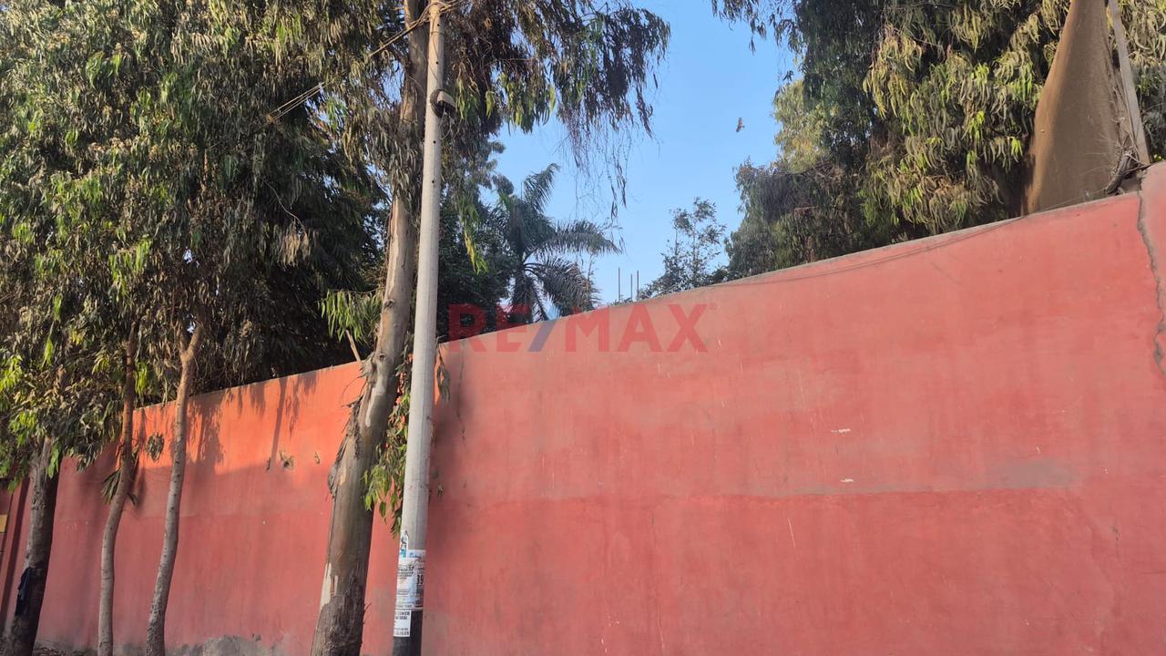 Se Vende Terreno Km 15 Carretera Centran En Ate — foto 15