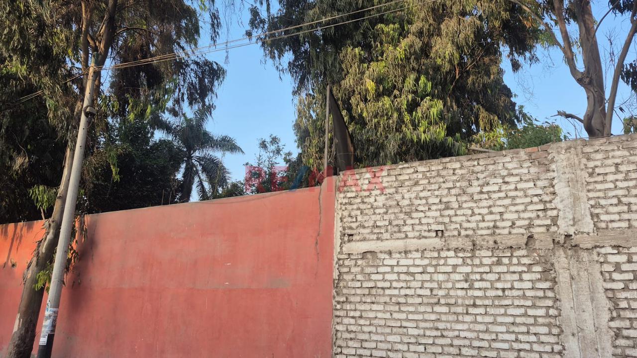 Se Alquila Terreno En Ate — foto 4