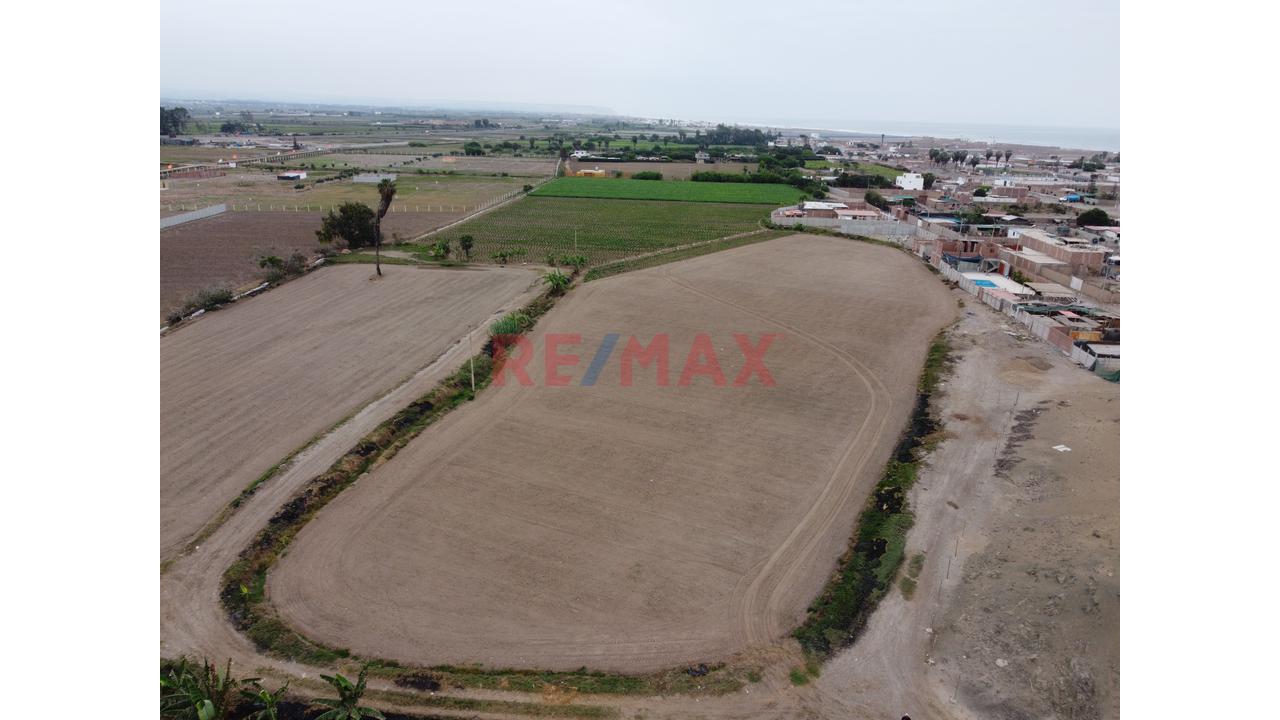 Venta De Terreno 6.5 Ha. Cerro Azul — foto 5