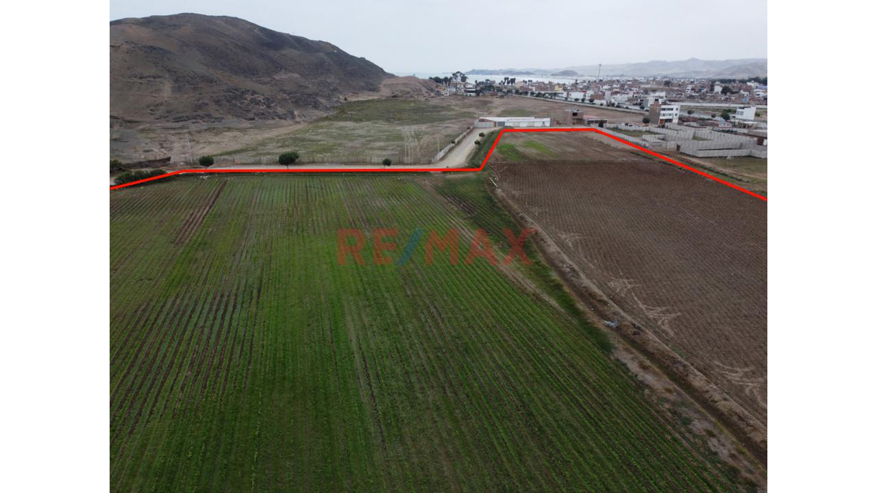 Venta De Terreno 6.5 Ha. Cerro Azul — foto 3
