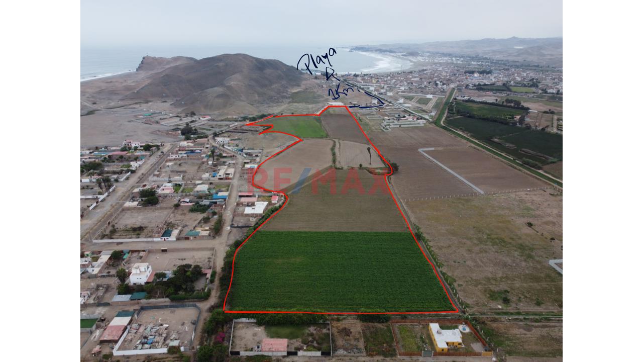 Venta De Terreno 6.5 Ha. Cerro Azul — foto 2