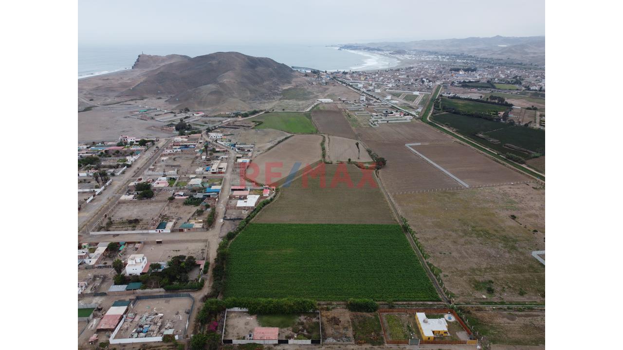 Venta De Terreno 6.5 Ha. Cerro Azul — foto 4