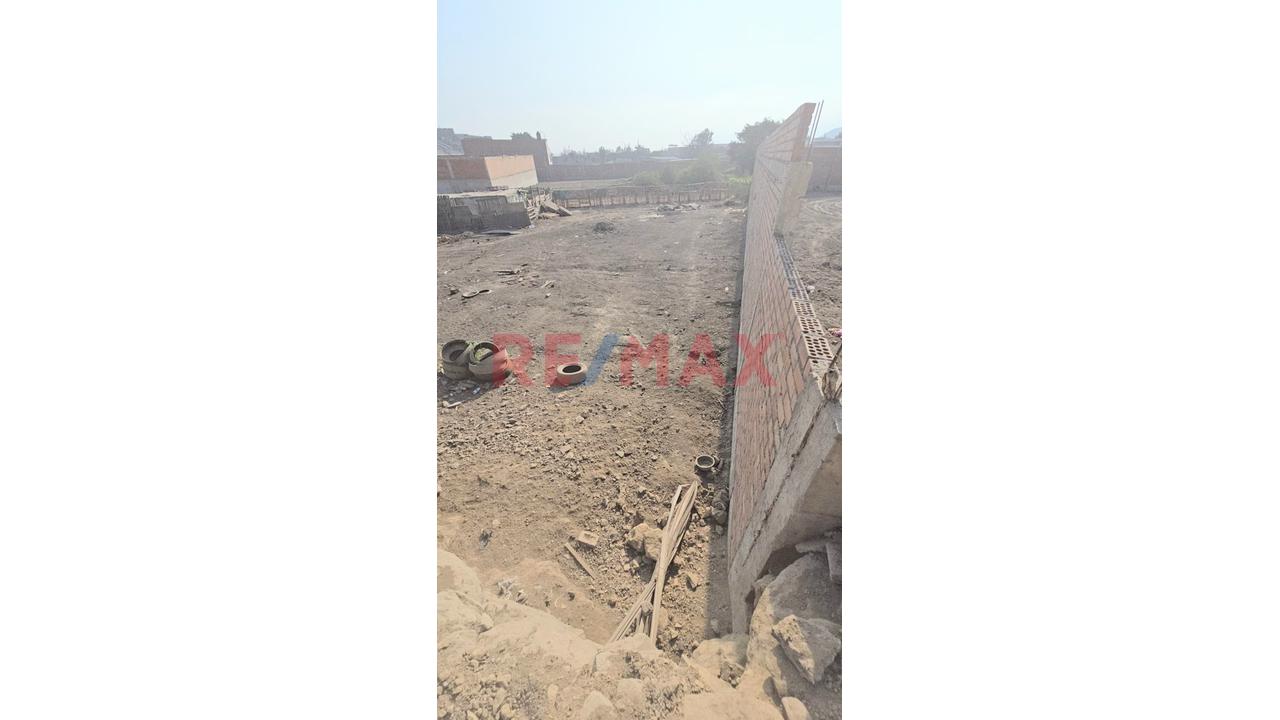 Terreno Agricola En Venta 758.37M – Punchauca Carabayllo - 4