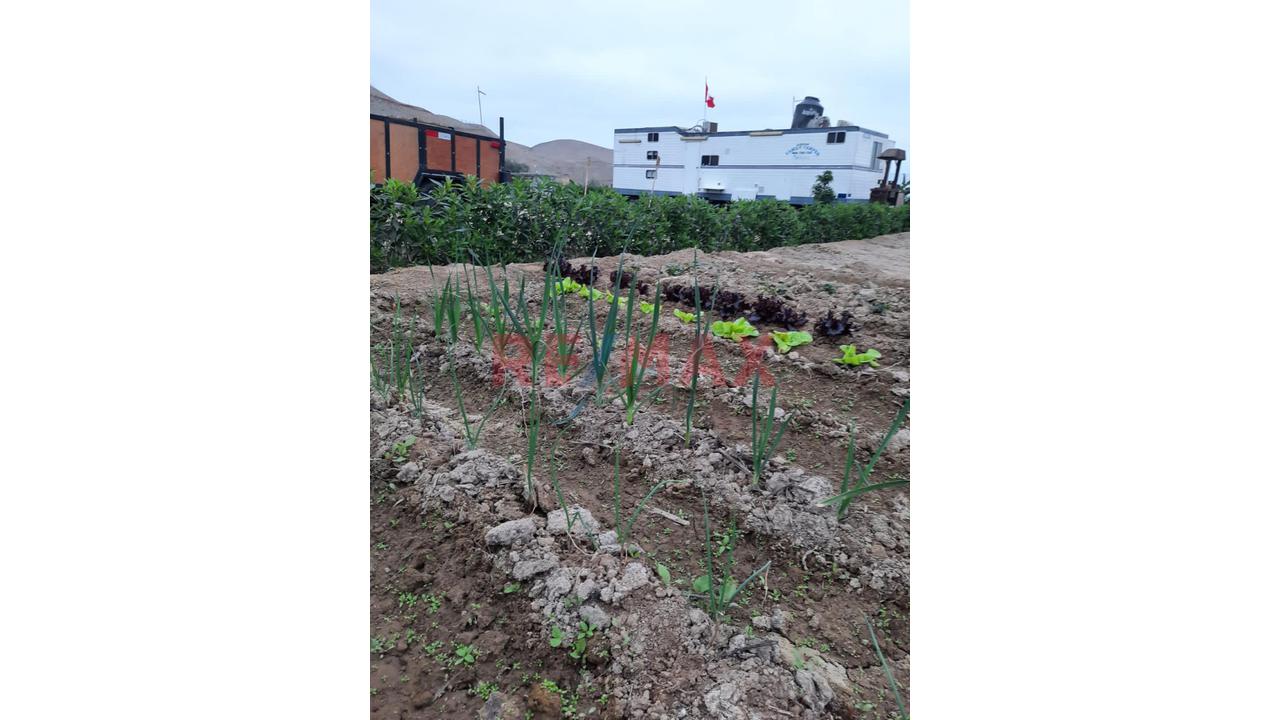 Venta De Terreno En Condominio Villa Serene — foto 4