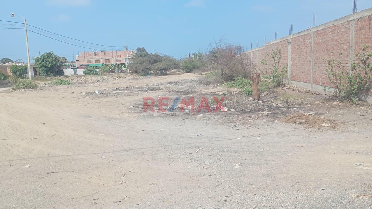 🏡 Gran Oportunidad De Inversión En Grocio Prado – Chincha