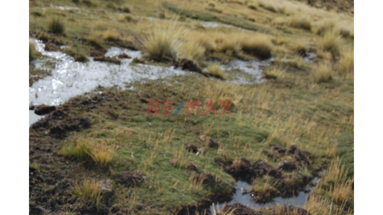 Terreno Agricola Para Crianza De Ganado En Altura (Vicuña, Alpaca, Similares) - 2