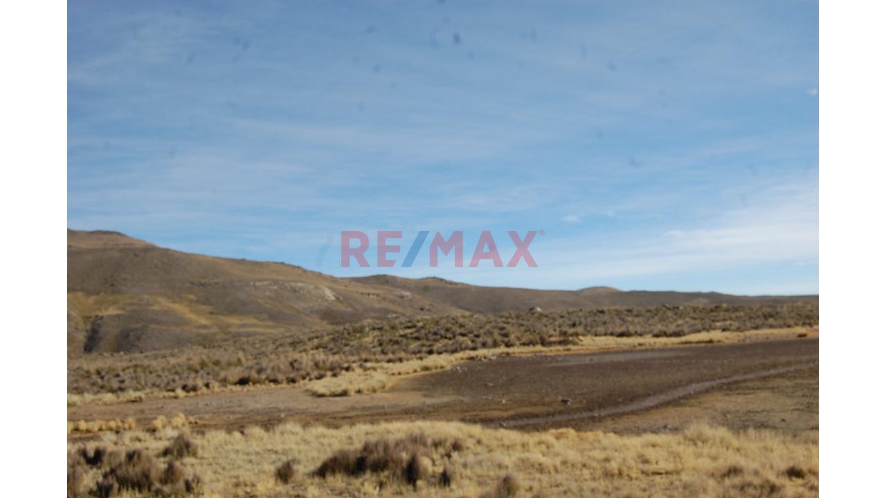 Terreno Agricola Para Crianza De Ganado En Altura (Vicuña, Alpaca, Similares) - 8
