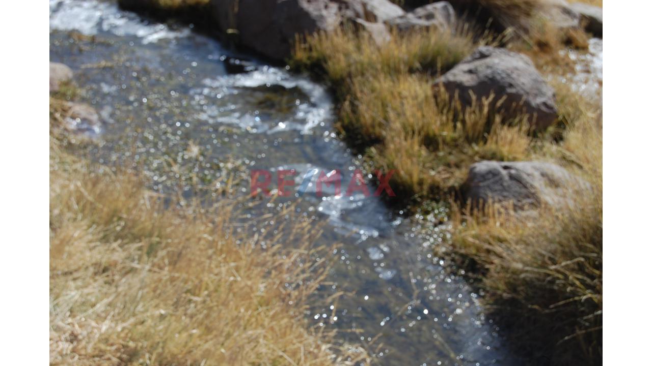 Terreno Agricola Para Crianza De Ganado En Altura (Vicuña, Alpaca, Similares) - 6