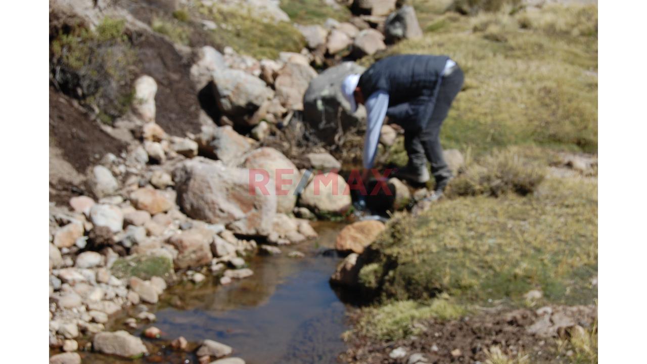 Terreno Agricola Para Crianza De Ganado En Altura (Vicuña, Alpaca, Similares) - 4