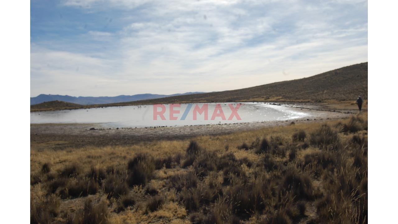 Terreno Agricola Para Crianza De Ganado En Altura (Vicuña, Alpaca, Similares) - 5