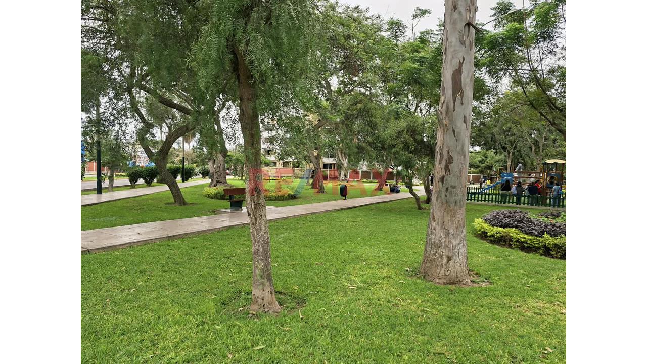 Acogedor Depa Semiamoblado En Av. Vicus - Surco - 20