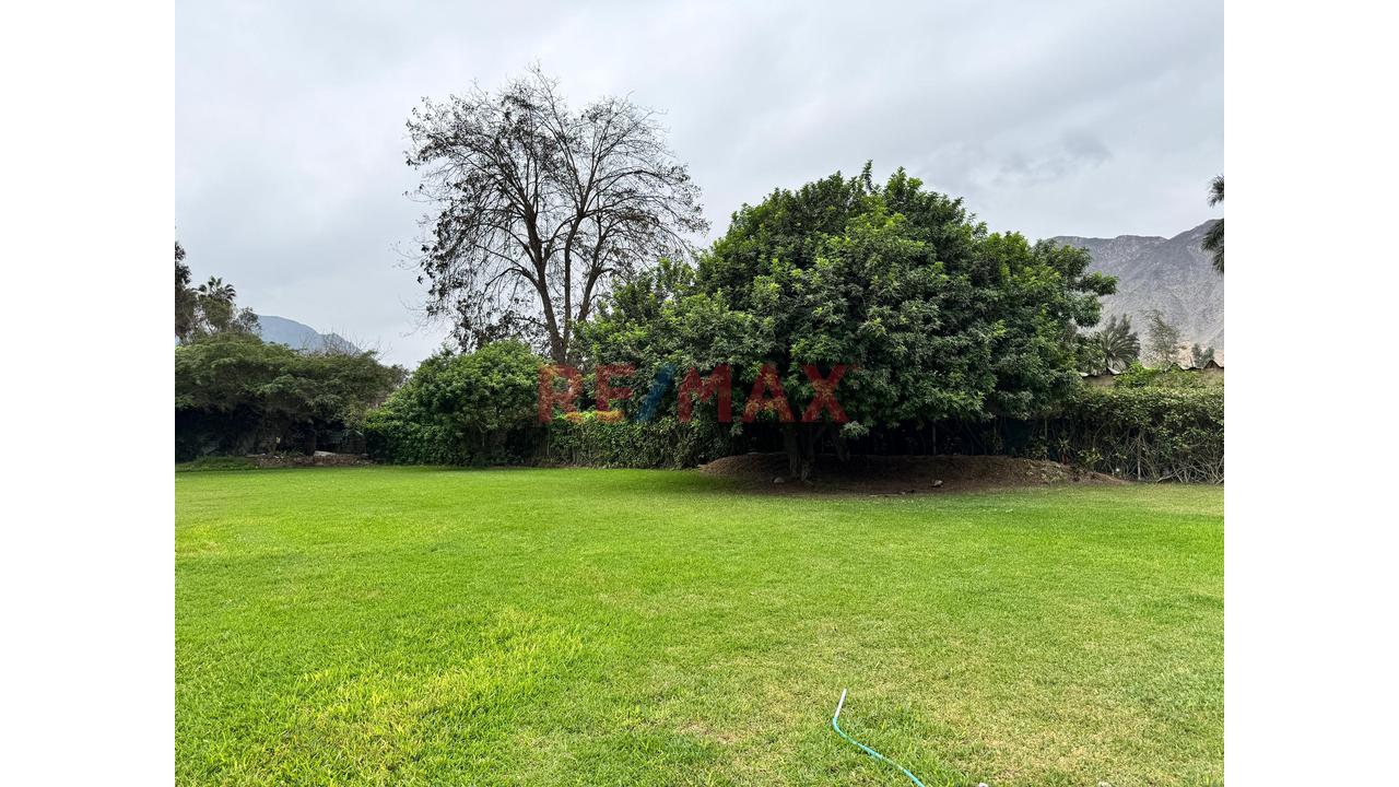 🌿 10,000 M² En Cieneguilla | Propiedad Tasada Una Propiedad Excepcional Por Su Amplitud, Ubicación Y Características. 📍 Calle Nueva Toledo, Cuadra 2 – Cieneguilla — foto 7