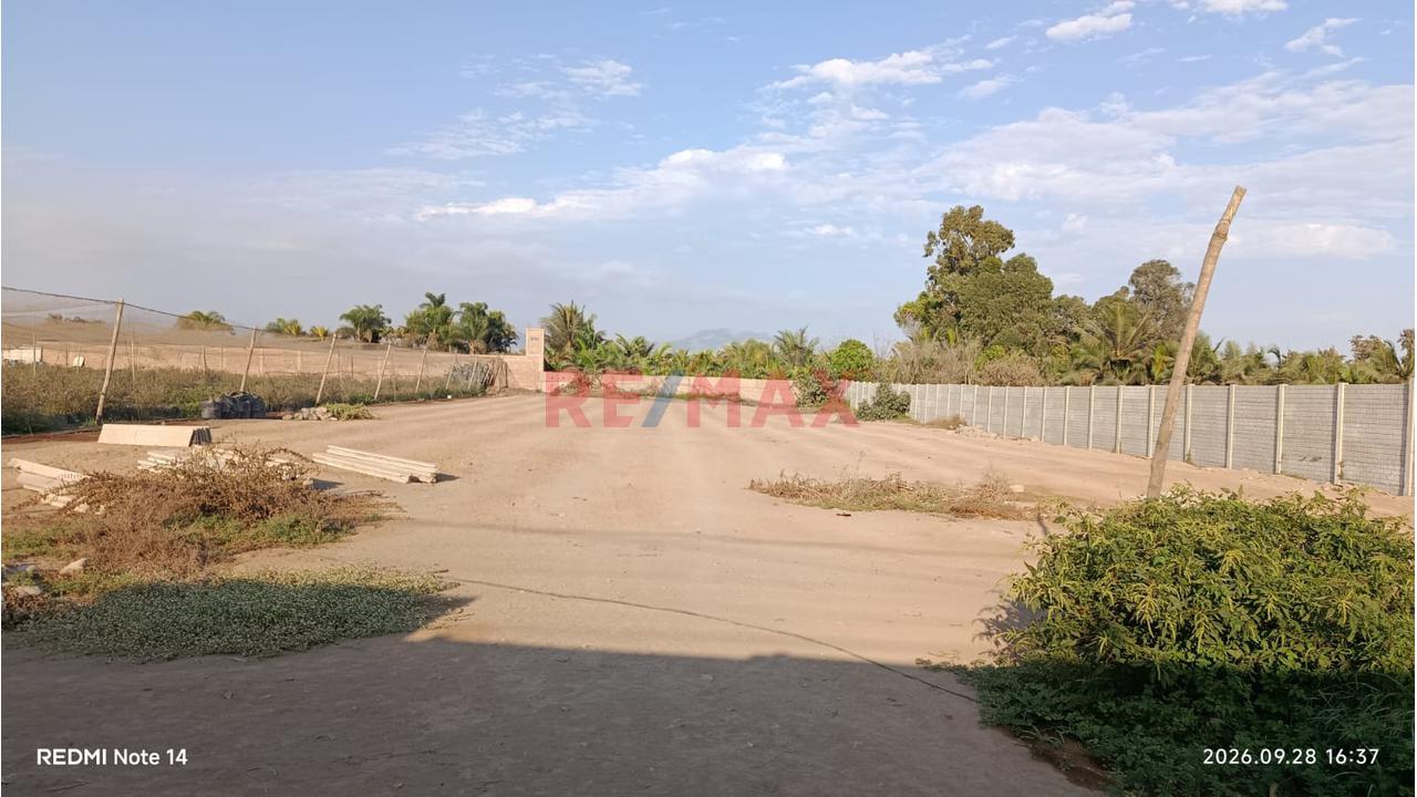 🏡 **¡Amplio Terreno En Alquiler – Sunampe, Chincha!** 🏡 - 5