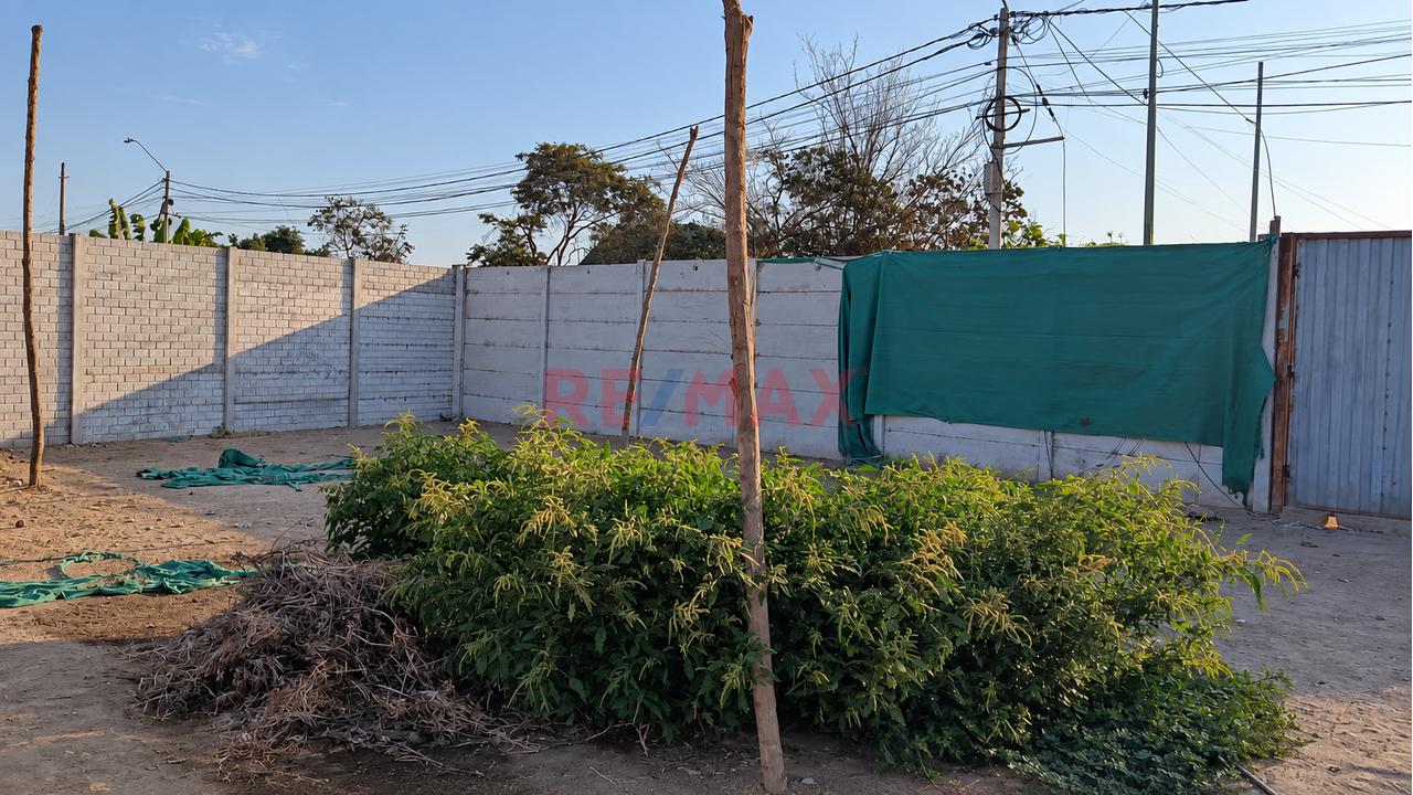 🏡 **¡Amplio Terreno En Alquiler – Sunampe, Chincha!** 🏡 - 3