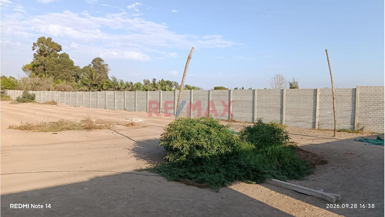 🏡 **¡Amplio Terreno En Alquiler – Sunampe, Chincha!** 🏡 - 6
