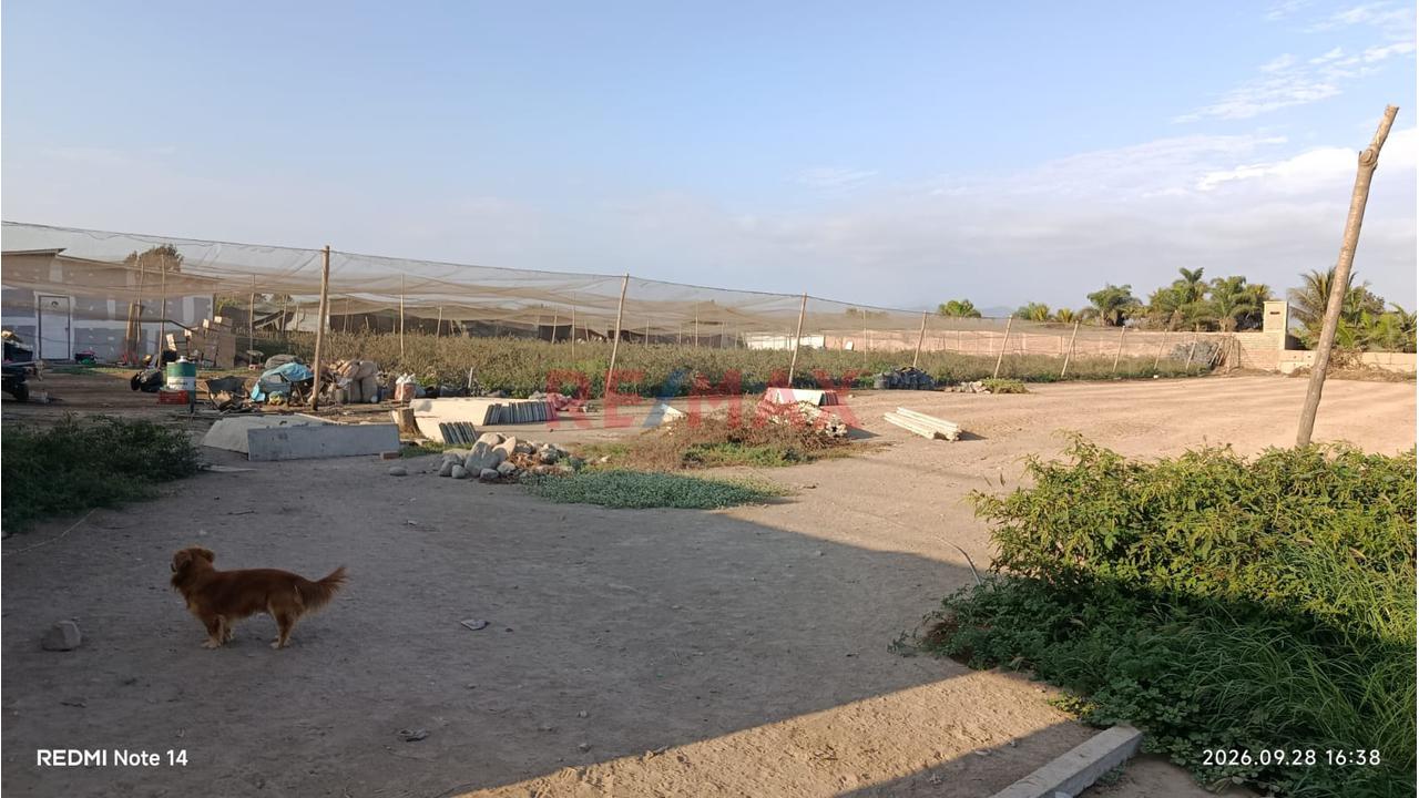 🏡 **¡Amplio Terreno En Alquiler – Sunampe, Chincha!** 🏡 - 7