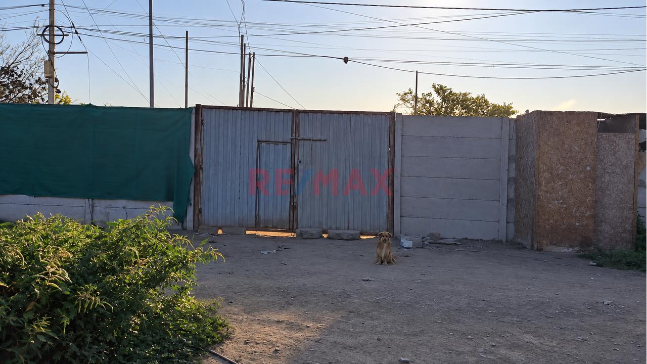 🏡 **¡Amplio Terreno En Alquiler – Sunampe, Chincha!** 🏡 - 2