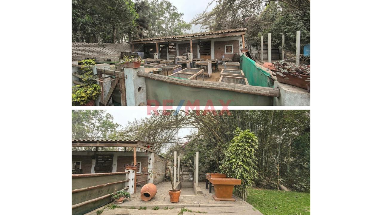 Exclusiva Casa De Campo En Cieneguilla | 2,805 M² | Piscina Y Áreas Verdes | A 1 Cuadra Del Óvalo — foto 7