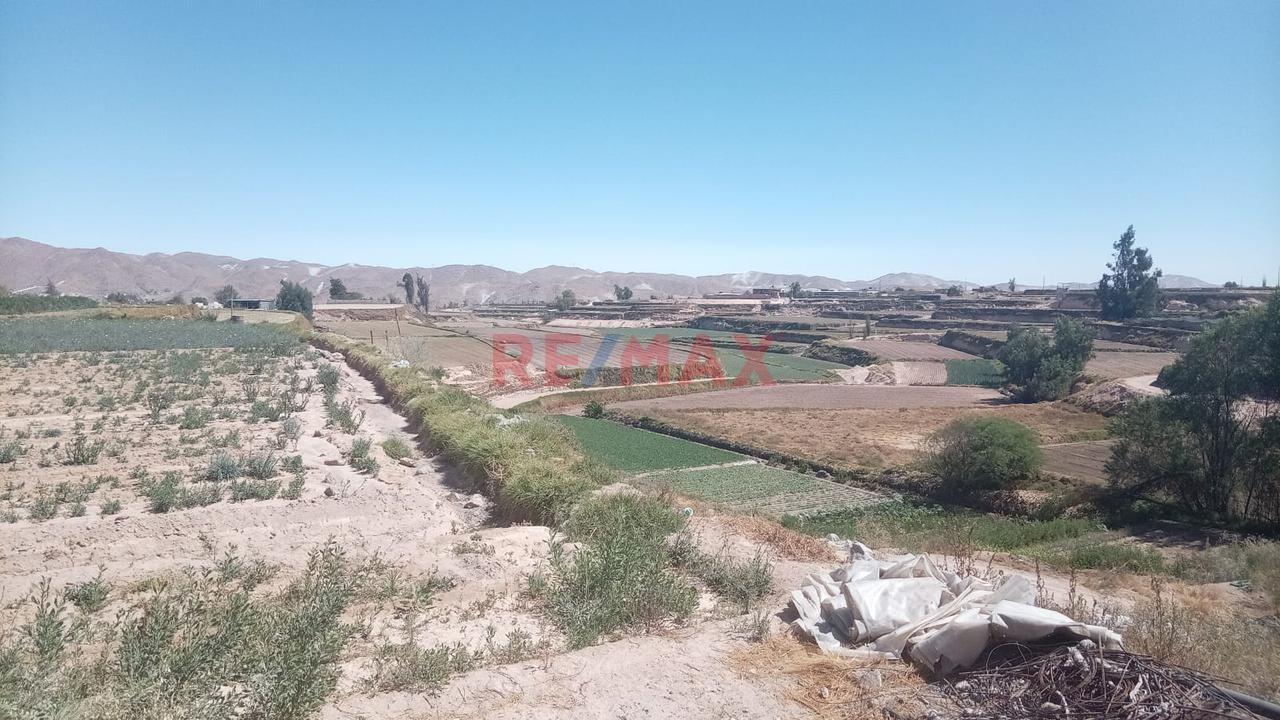 Venta De Terreno De 20,000 M2 En El Cural-Tiabaya, Para Desarrollar El Proyecto Q Desees — foto 7