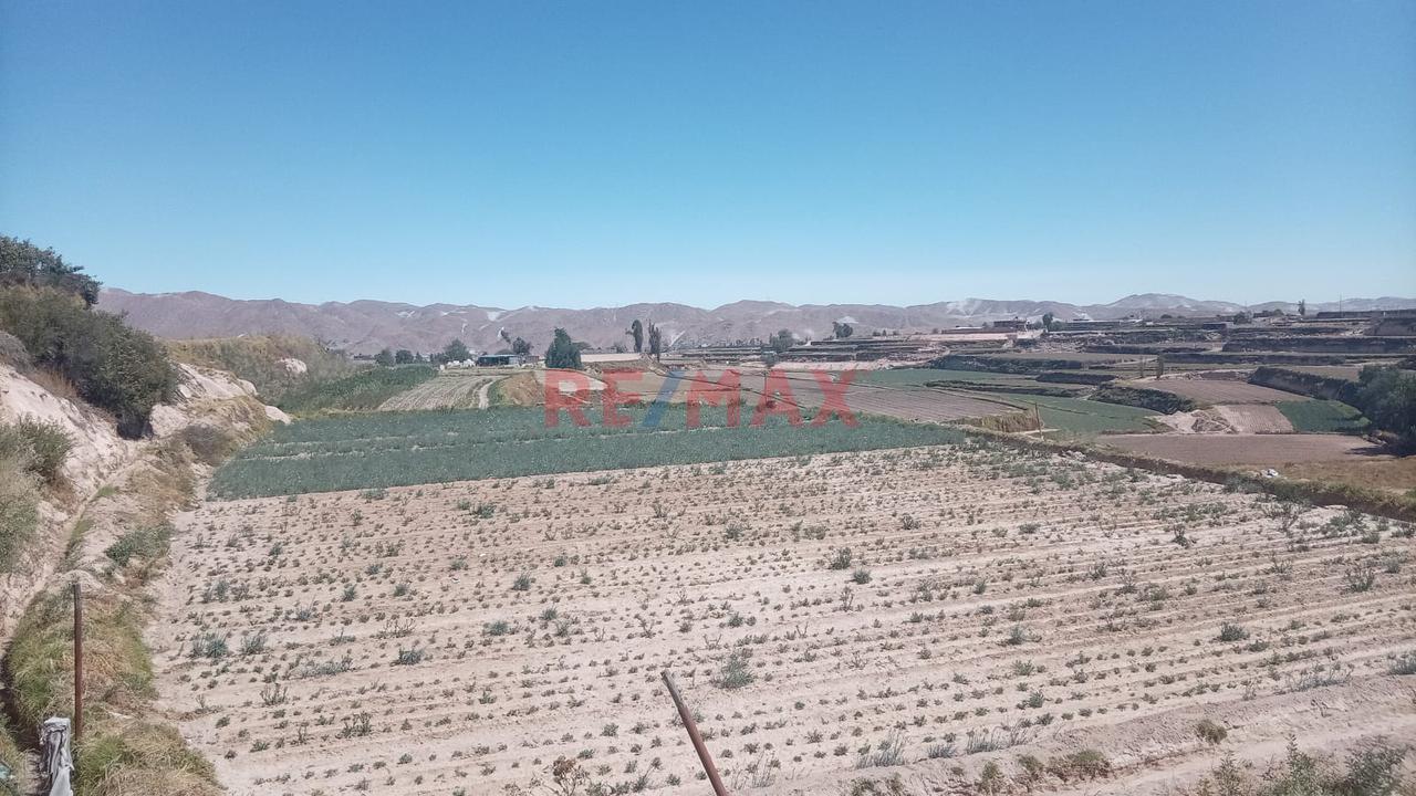 Venta De Terreno De 20,000 M2 En El Cural-Tiabaya, Para Desarrollar El Proyecto Q Desees — foto 5