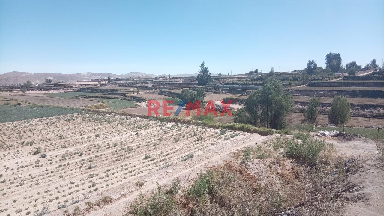 Venta De Terreno De 20,000 M2 En El Cural-Tiabaya, Para Desarrollar El Proyecto Q Desees