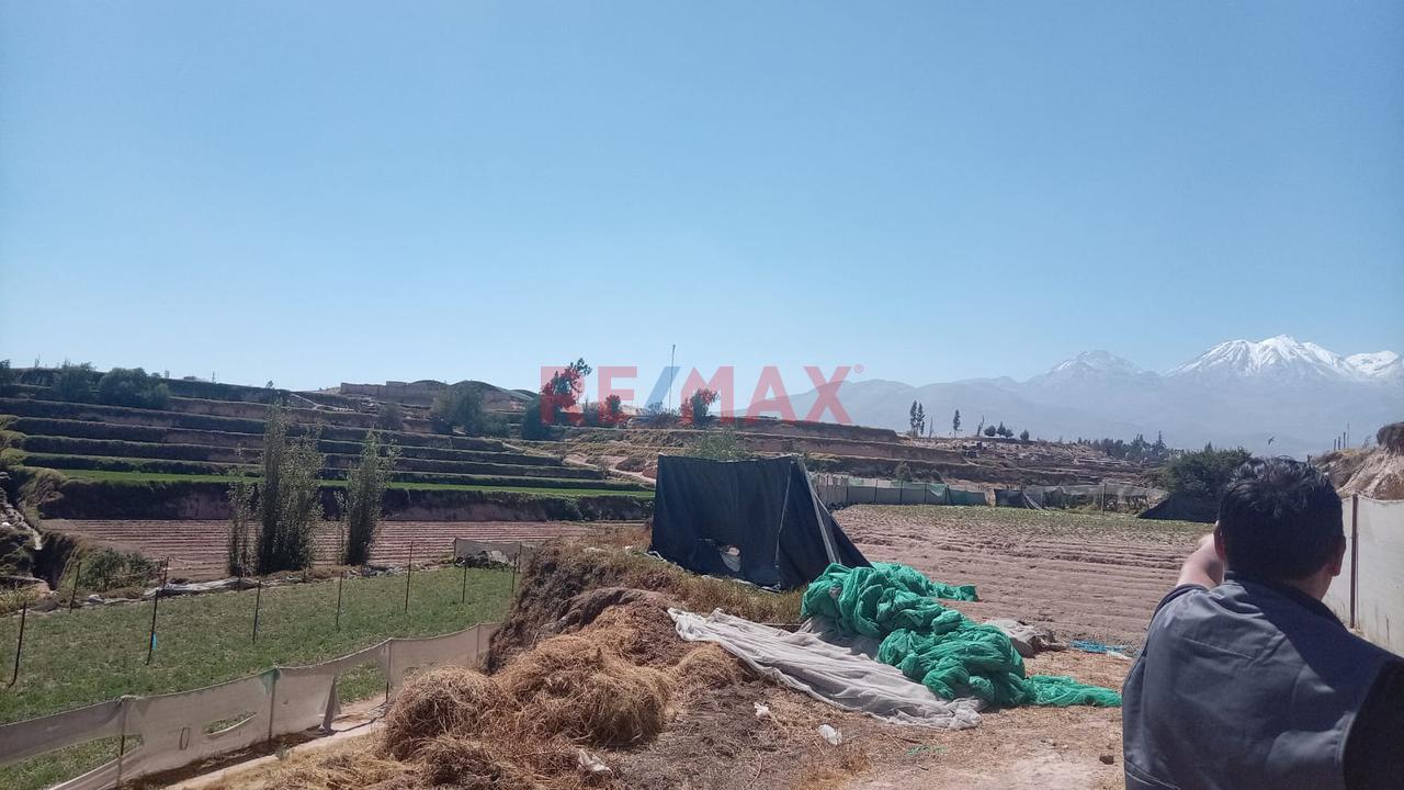 Venta De Terreno De 20,000 M2 En El Cural-Tiabaya, Para Desarrollar El Proyecto Q Desees — foto 6