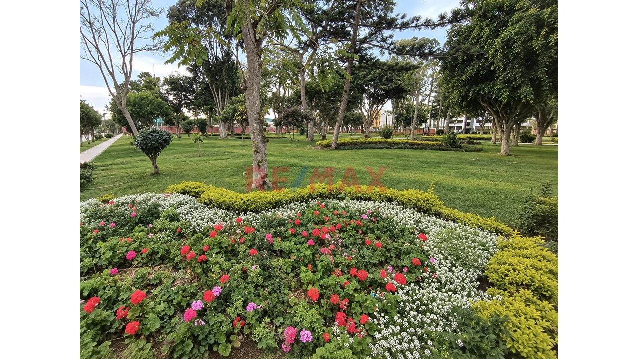 🏡 ¡Alquila Departamento En Surco ✨ 2 Habitacones + Vista Externa, Cerca Wong, Parque Loma Amarilla Y Estación Del Tren 🚆 — foto 14