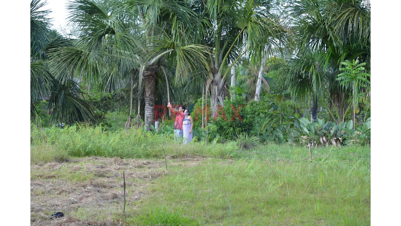 Se Vende Terreno En Loreto San Juan Bautista - 13