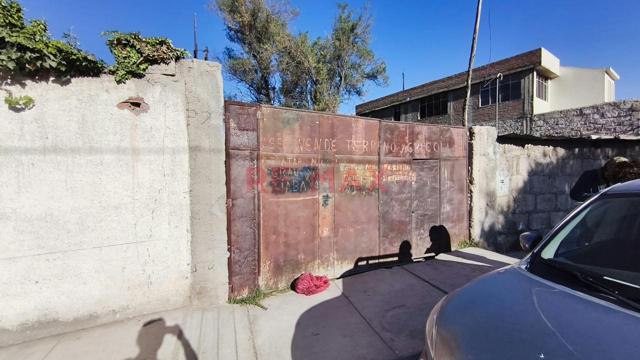 Terreno Agricola En Venta En Tio Grande En Sachaca En Arequipa - 10