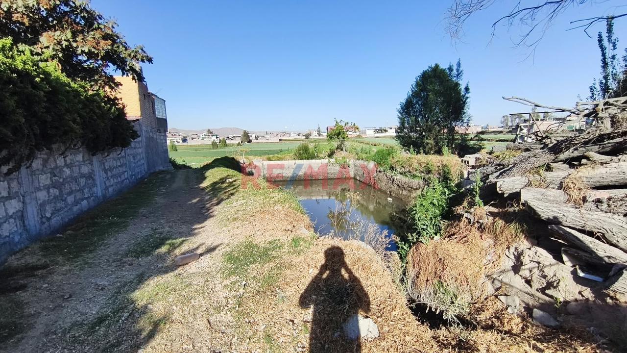 Terreno Agricola En Venta En Tio Grande En Sachaca En Arequipa - 4