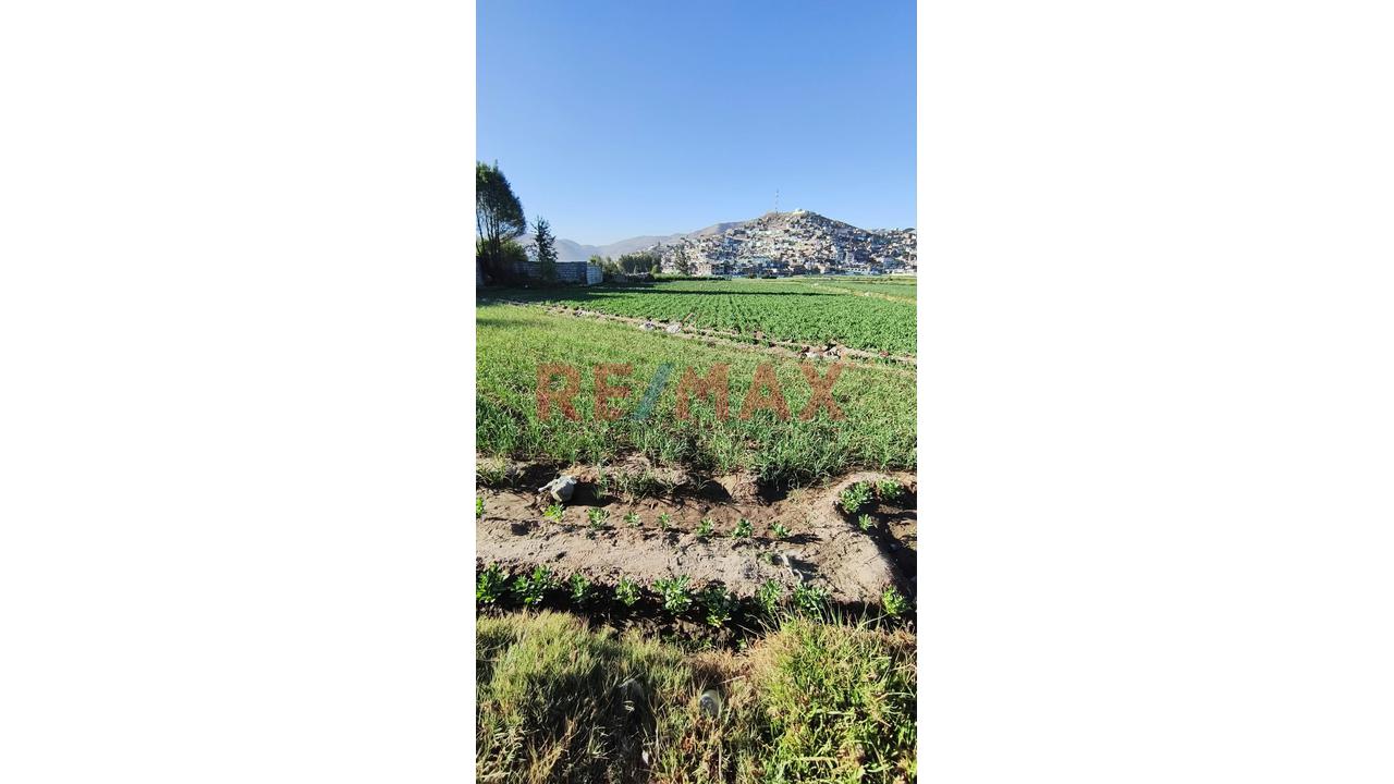 Terreno Agricola En Venta En Tio Grande En Sachaca En Arequipa - 9